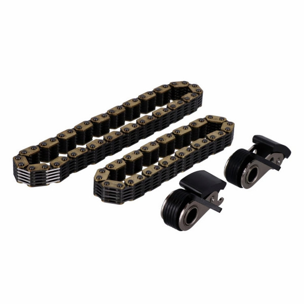Steuerkettenspanner Kit komplett für Harley-DavidsonTwin Cam 88 99-06