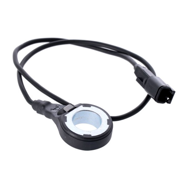 ABS Bremsen-Sensor 41100076 für Harley-Davidson Softail 18-24 hinten